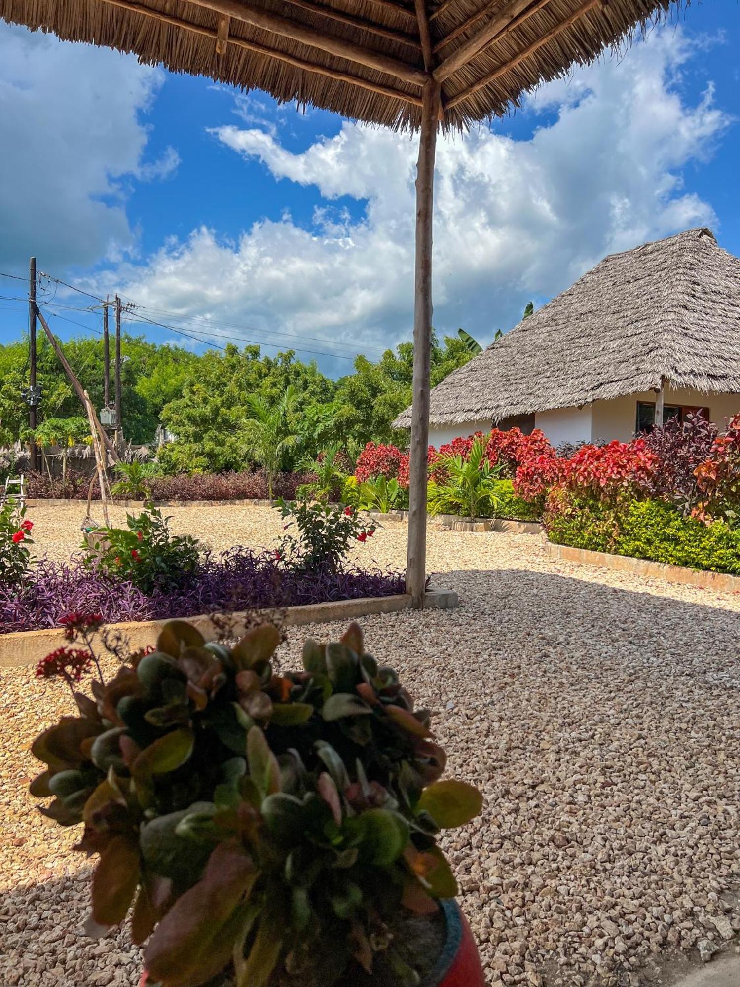Kokopelli Bungalows Nungwi Esterno foto